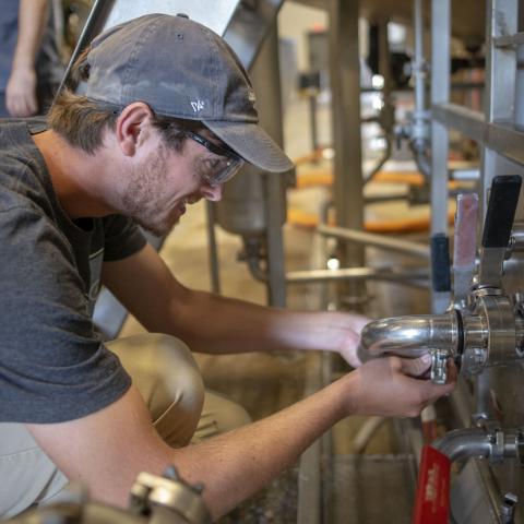 Student in beer brewing class